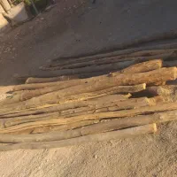 چوب فروشی|مصالح و تجهیزات ساختمان|شباب, |دیوار