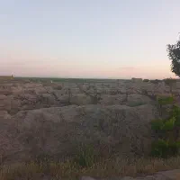 فروش زمین کشاورزی|فروش دفتر صنعتی، کشاورزی، تجاری|بناب, |دیوار