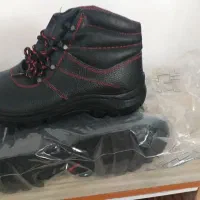 کفش کارایمنی