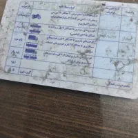 گواهینامه‌پیداشده