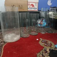 غذای ماهی و تنگ آکواریومی|ماهی|کرمانشاه, |دیوار