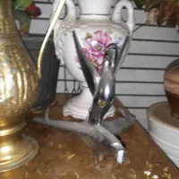 جت با پرنده