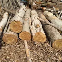 خرید چوب و درخت|خدمات باغبانی و درختکاری|همدان, |دیوار