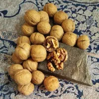 گردو ی پوست کاغذی