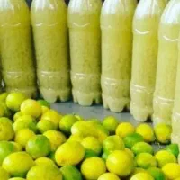 ابغوره امساله لیمو تازه|خوردنی و آشامیدنی|رشت, رودباری|دیوار