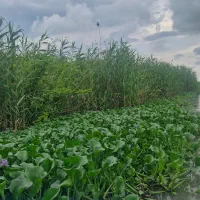 باغ در فریدونشهر اصفهان
