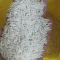 برنج طارم درجه یک به شرط پخت