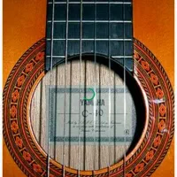 گیتار YAMAHA C40