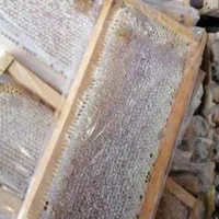 عسل‌سراب‌عمده‌،‌خرده‌‌و‌همکاری‌با‌شرکت‌ها‌