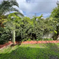 ۳۱۷متری روستایی فقط پول زمین میدی فقط/زیرقیمت|فروش خانه و ویلا|چمستان, |دیوار