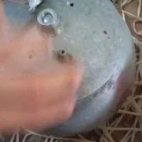 دستگاه گلابگیر