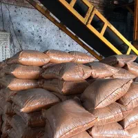 کود مرغ  پلیت اسید هیومیک|گل و گیاه طبیعی|تربت جام, میان جام|دیوار