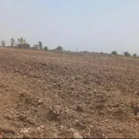 اجاره زمین کشاورزی درجه یک