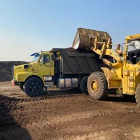 پخش کود حیوانی گاوی گوسفندی درکل تهران خاک باغچه