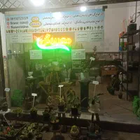 تابلوی ال ای دی مغازه فروش فوری