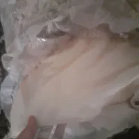 ماشین پژوپارس فروش فوری|خودرو سواری و وانت|سیلاخور, |دیوار