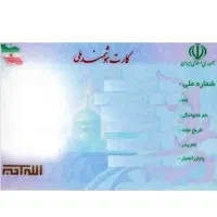 پیدا شده