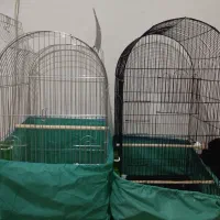 دو عدد قفس پرنده بزرگ