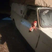 پیکان وانت مدل ۸۶دوگانه