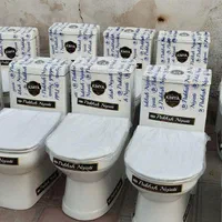 توالت فرنگی|لوازم سرویس بهداشتی|سنندج, |دیوار