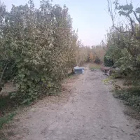 فروش باغچه نقلی دهشاد بالا شهریار|فروش خانه و ویلا|صباشهر, |دیوار