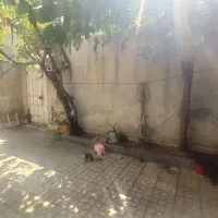 رهن خانه ویلایی ۱۰۰ متری ۱ خوابه در استخر|اجارهٔ خانه و ویلا|تهران, استخر|دیوار