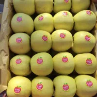 سیب گلدن و رد|عمدهفروشی|سمیرم, |دیوار