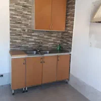 کارگر مجموعه پرورش سگ