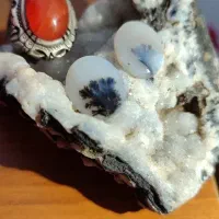 نگین های شجر زیبا