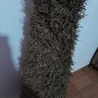 درخت کریسمس