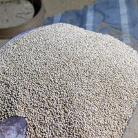 ارزن بوجاری شده اعلاء(شهر هشتبندی)