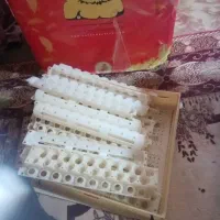 فروش دستگاه جوجه کشی|لوازم جانبی حیوانات|بندر ماهشهر, |دیوار