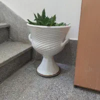 گلدان سایز بزرگ
