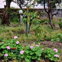 اجاره ویلا ساحلی، استخردار