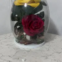 گل شیشه ای