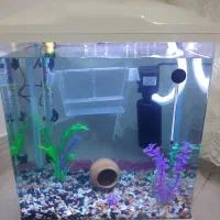 اکواریوم شیشه خم شرکتی