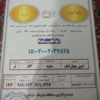 پرنده نشسته|پرنده|اهواز, پردیس|دیوار
