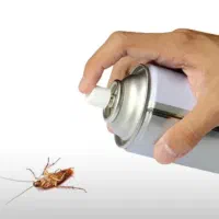 سم پاشی وضدعفونی