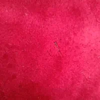 فرش ۹ متری|فرش|قم, شهرک مهدیه|دیوار