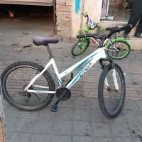 دوچرخه26ویوا المنیوم|دوچرخه، اسکیت، اسکوتر|بانه, |دیوار