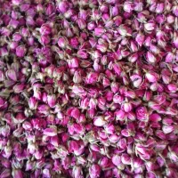 فروش عمده و جز دارچین و ادویجات|خوردنی و آشامیدنی|رشت, آزادگان|دیوار