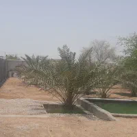 خونه باغ رمکان استخر|اجارهٔ کوتاه‌مدت ویلا و باغ|قشم, |دیوار