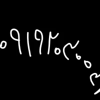 0919.20.300.38