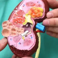 عکس نشان دهنده همهچیز است