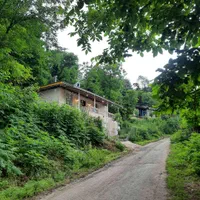 اجاره ویلای جنگلی جاده امام زاده ابراهیم شفت