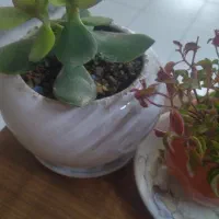 سیم کارت ۰۹۱۲کد ۷