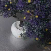 دریچه ی فانتزی،لگن قاجاری