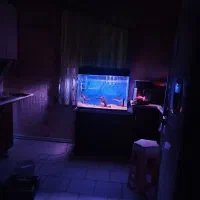 آکواریوم شیشه خم شرکتی ۲۰۰لیتری