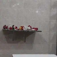 مجسمه های تزئینی|مجسمه، تندیس، ماکت|بندر انزلی, مسکن مهر|دیوار