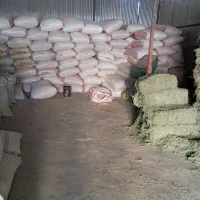 خوراکدام وطیور|لوازم جانبی حیوانات|زرند, |دیوار